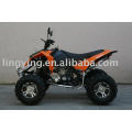 250ER RAPTOR AGGRESSIVE EWG ATV